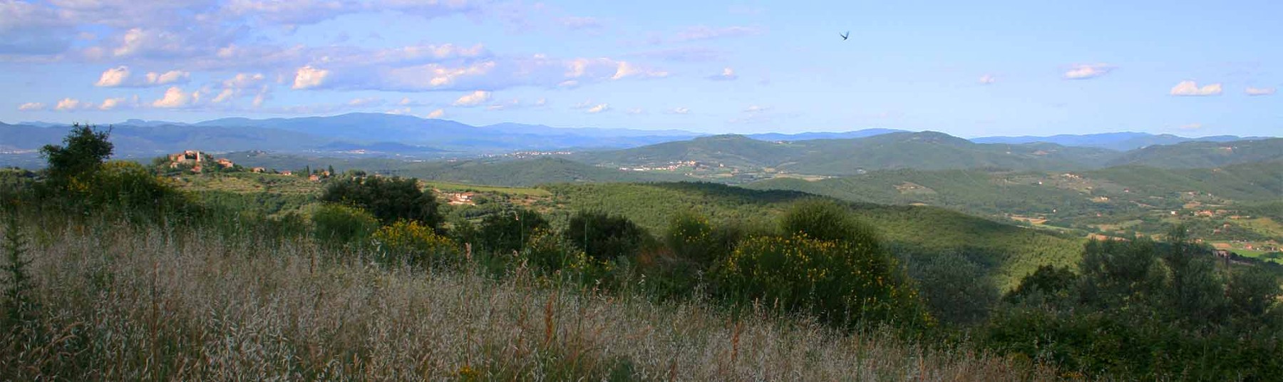 Valdambra 2